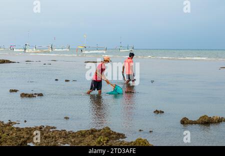 Le persone catturano i pesci usando veleno dalle radici della pianta tuba o Derris. problemi ambientali Foto Stock