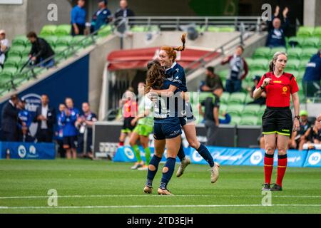 Melbourne, Australia. 16 dicembre 2023. Crediti: James Forrester/Alamy Live News Foto Stock