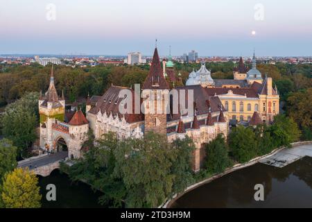 Vista aerea sul Castello di Vajdahunyad e sul Museo e la Biblioteca dell'Agricoltura ungherese nel parco cittadino di Budapest. Ballonfly sullo sfondo. Foto Stock