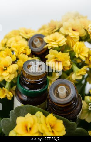 Bottiglie di olio essenziale tra fiori gialli, morbido fuoco Foto Stock