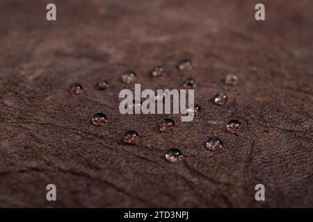 Gocce d'acqua rotonde su pelle marrone scuro, vista laterale, messa a fuoco morbida macro Foto Stock