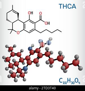 Acido tetraidrocannabinolico, THCA, molecola tetraidrocannabinolato. Formula chimica strutturale, modello molecolare Illustrazione Vettoriale