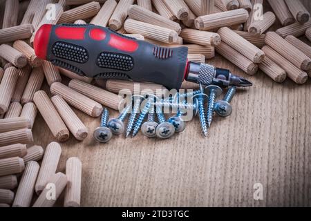 Pila di tasselli in legno, chiodi da costruzione e cacciavite isolato Foto Stock