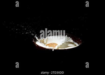 Biscotti che cadono in una ciotola di spruzzi di latte, effetto spruzzo isolato su sfondo nero Foto Stock