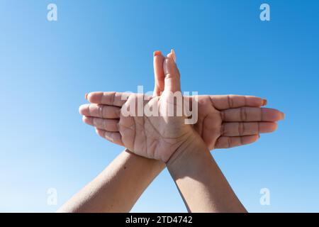 Le mani delle donne fanno un segno di colomba con le mani contro il cielo blu Foto Stock