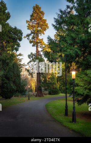 Lampioni d'epoca accesi di sera nel Farmleigh Phoenix Park e nel sentiero circondato da alberi maestosi, Dublino, Irlanda Foto Stock