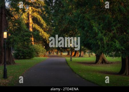 Lampioni d'epoca accesi di sera nel Farmleigh Phoenix Park e nel sentiero circondato da maestosi alberi illuminati dalla luce del sole, Dublino, Irlanda Foto Stock