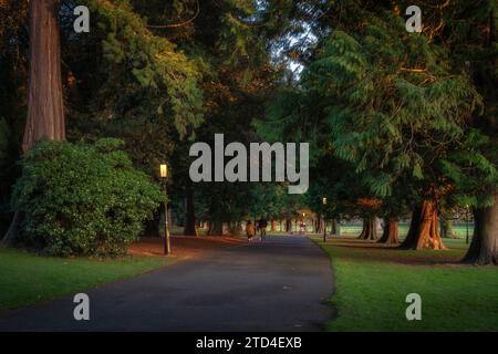 Le persone si sfuocavano in movimento, camminando lungo il sentiero circondato da alberi maestosi e lampioni d'epoca, illuminati dalla luce del sole, Dublino, Irlanda Foto Stock
