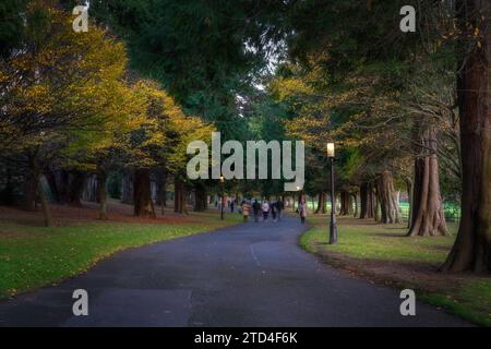 Persone, famiglie sfuocate in movimento, camminando su un sentiero circondato da alberi maestosi e lampioni d'epoca illuminati dalla luce del sole, Dublino, Irlanda Foto Stock