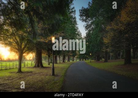 Lampioni d'epoca accesi di sera al Farmleigh Phoenix Park. Sentiero circondato da alberi maestosi illuminati dalla luce del sole al tramonto, Dublino, Irlanda Foto Stock
