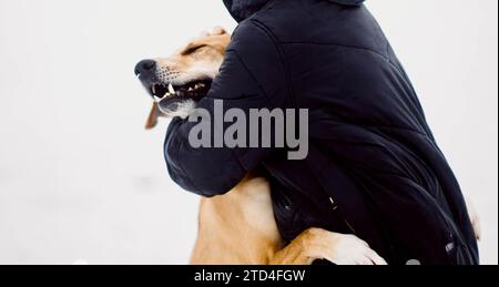 Un cane rosso senzatetto abbraccia felicemente il suo nuovo proprietario in un rifugio per cani randagi Foto Stock