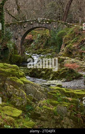 Foley's Bridge nel Tollymore Forest Park, County Down, Irlanda del Nord. Questo è stato descritto in molti film tra cui Dungeons & Dragons. Foto Stock