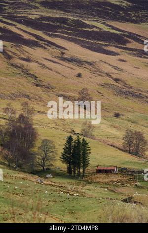Una capanna da pastore alle pendici di Blarmacfoldach, vicino a Ben Nevis, Highlands, Scozia. Foto Stock
