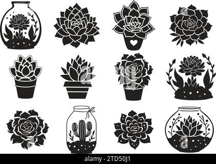 Cactus vettoriale silhouette succulenta ritagliano il fiore nero naturale in una collezione di terrari Illustrazione Vettoriale