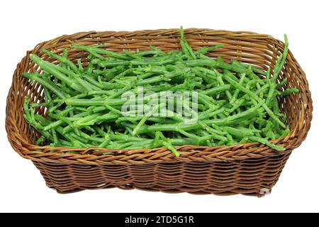 mosto di vetro comune in un cestello isolato su sfondo bianco Foto Stock