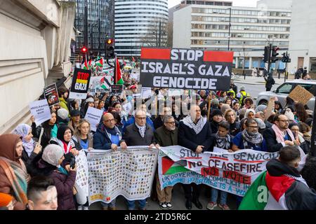 Londra, Regno Unito. 16 dicembre 2023. Una veglia per gli operatori sanitari a Gaza si sta svolgendo a Londra, con centinaia di persone presenti. Foto Stock