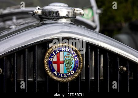 Logo del radiatore Alfa Romeo Foto Stock
