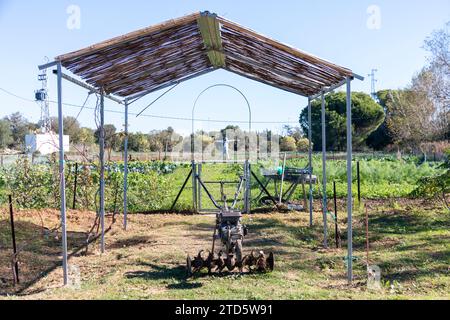 Vista di un terreno agricolo dove le verdure coltivate con metodi biologici crescono con uno spaventapasseri sullo sfondo Foto Stock