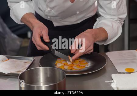 Master class di cucina per i visitatori, ottimi chef, ristoranti francesi di alta cucina, ristoranti raffinati, festival invernale, Avenue de Champagne, Epernay, Francia Foto Stock