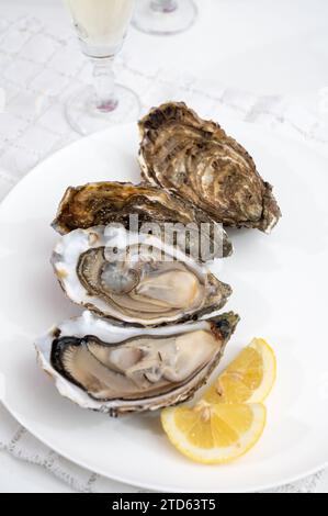 Molluschi di ostriche francesi, olandesi, del pacifico o giapponesi, taglia 1, serviti con limone fresco e pesce crudo Foto Stock