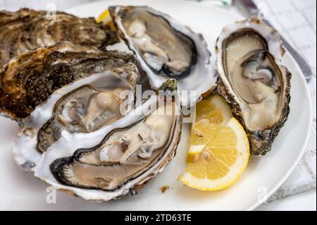 Molluschi di ostriche francesi, olandesi, del pacifico o giapponesi, taglia 1, serviti con limone fresco e pesce crudo Foto Stock