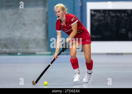 Marie Fischer (TSVMH, 30), AM Ball, Freisteller, Ganzkörper, Einzelbild, Einzelfoto, Aktion, Action, 16.12.2023, Mannheim (Deutschland), Hallenhockey, 1. Bundesliga Süd, Damen, TSV Mannheim - Mannheimer HC Foto Stock