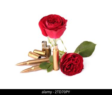 Pallottole e contenitori per cartucce con bellissimi fiori di rosa isolati su bianco Foto Stock