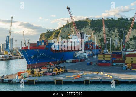 La nave container COSCO XIN XIA MEN che effettua lo scarico a Napier, nuova Zelanda Foto Stock