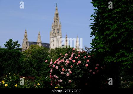 Vienna Austria - Giardino delle rose - Giardino del popolo - fioritura del cespuglio di fiori di rosa Foto Stock