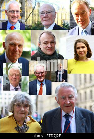 Liberaldemocratici. Leader e noto MPS liberaldemocratico. Lembit Opik. Menzies Campbell. Tim Farron. Vince Cable. Sir ed Davey. Jo Swinson. Paddy Ashdown. Sir Norman Lamb. Charles Kennedy. Lord e Lady Steel. Foto Stock