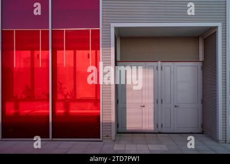 Vista frontale dell'entrata dell'edificio. Sportello chiuso fiancheggiato da vetro colorato rosso con riflesso. Architettura di linee parallele e geometriche. Contesto. Foto Stock