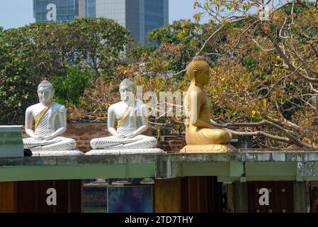 COLOMBO, SRI LANKA - 22 FEBBRAIO 2020: Tre sculture di Buddha seduti nel centro di meditazione Seema Malakaya in un pomeriggio di sole Foto Stock