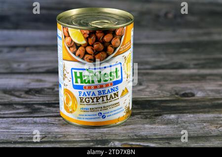 Cairo, Egitto, 13 dicembre 2023: Conserve di Harvest Foods ricetta egiziana con olio vegetale, cumino, limone, fave medammi, fibre proteiche, fave Foto Stock