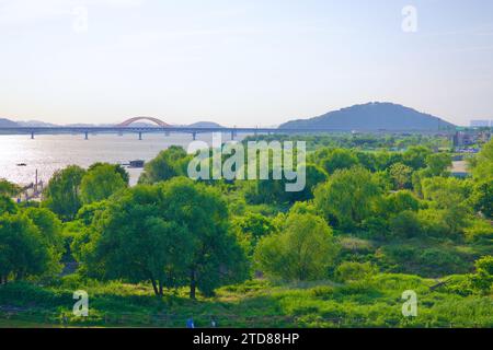 Seul, Corea del Sud - 3 giugno 2023: Una vista del vasto lungofiume verde del Parco ecologico Nanji, con gli alberi e il Ponte Banghwa che attraversa il fiume Han in t Foto Stock