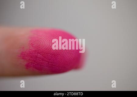 Inchiostro elettorale, inchiostro fosforico indelebile o macchia elettorale, inchiostro o colorante semipermanente applicato all'indice degli elettori durante le elezioni Foto Stock