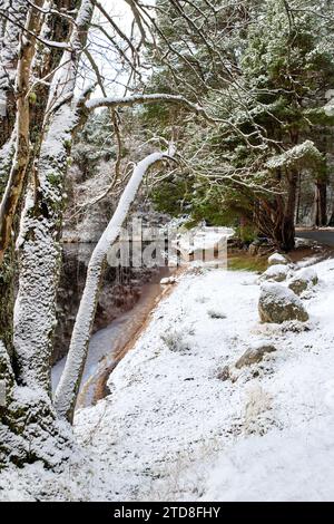 Loch Garten nella neve. Highlands, Scozia Foto Stock