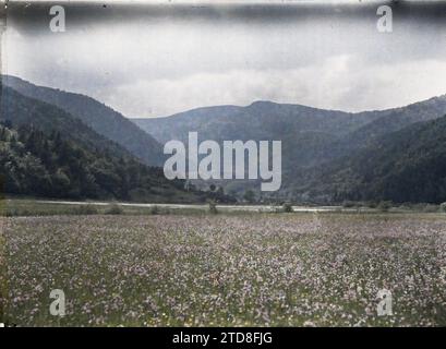 Sewen, Haut-Rhin, Alsazia, Francia la Doller. Ballon d'Alsace, natura, ambiente, prima guerra mondiale, paesaggio, monte, montagna, confine, valle, fiume, fronte, Francia, Sewen, la Doller. Mongolfiera dell'Alsazia, Sewen, 02/06/1917 - 02/06/1917, Castelnau, Paul, 1917 - Alsazia - Paul Castelnau (sezione fotografica dell'esercito) - (giugno), Autochrome, Photo, Glass, Autochrome, foto, positivo, orizzontale, dimensioni 9 x 12 cm Foto Stock