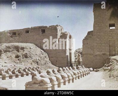 Karnak, Egitto, Africa Alley di arieti che conduce al tempio di Amun-Ra, animali, Habitat, architettura, arte, religione, Statua, Tempio, animale rappresentato, animale fantastico, resti archeologici, Sfinge, Scultura, politeismo egiziano, Egitto, Karnak, viale di arieti che conduce al tempio di Amon, Karnak, 03/10/1918 - 03/10/1918, Castelnau, Paolo, 1918 - Medio Oriente, Egitto, Palestina, Chypre - Paul Castelnau (sezione fotografica dell'esercito) - (9 gennaio-6 ottobre), Autochrome, Photo, Glass, Autochrome, foto, positivo, orizzontale, dimensioni 9 x 12 cm Foto Stock
