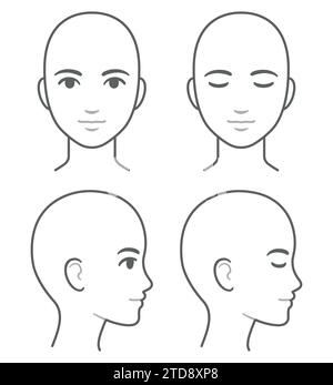 Diagramma del profilo del viso e della testa della donna (senza capelli), occhi aperti e chiusi. Modello di testa femmina vuota per infografica medica. Illustrazione isolata Illustrazione Vettoriale