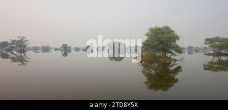 Panorama panoramico del Parco Nazionale di Keoladeo, vicino a Bharatpur, Rajasthan, India. Un famoso santuario per gli uccelli. Foto Stock