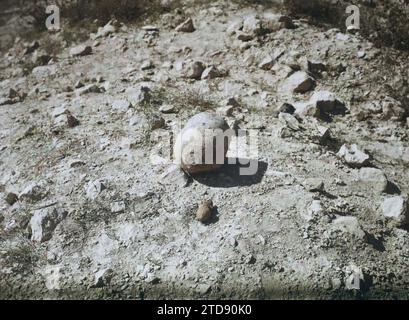 Les Éparges, Francia, prima guerra mondiale, fronte, bombardamento, Shell, post-guerra, Francia, Les Eparges, un obice inesploso, Les Eparges, 11/09/1919 - 11/09/1919, Cuville, Fernand, 1919 - Meuse - Georges Chevalier et Fernand Cuville - (10-12 settembre), Autochrome, Photo, Glass, Autochrome, foto, positiva Foto Stock