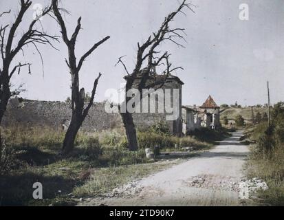 Eix, Francia, prima guerra mondiale, Habitat, architettura, notevole albero, rovine, fronte, bombardamento, strada, distretto, Rubble, post-guerra, Francia, Eix, a Street, Eix, 11/09/1919 - 11/09/1919, Cuville, Fernand, 1919 - Meuse - Georges Chevalier et Fernand Cuville - (10-12 settembre), Autochrome, Photo, Glass, Autochrome, foto, positiva Foto Stock