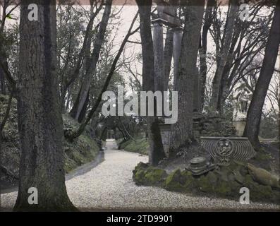 Roma, Italia Giardini Vaticani, Arte, Statua, Orto Botanico, scultura, colonna, Italia, Roma, Giardini Vaticani, Roma, 07/03/1921 - 07/03/1921, Léon, Auguste, fotografo, 1921 Cap Martin, Italia, Cap Martin - Auguste Léon (febbraio-aprile), Autochrome, foto, vetro, Autochrome, foto, positivo, orizzontale, dimensioni 9 x 12 cm Foto Stock