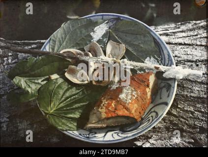 Tonchino, Indocina gli elementi necessari per masticare betel: vô radice di fieno, noce di areca, foglie di betel e bastoncino ricoperto di lime, società, vita quotidiana, Betel, droghe, oggetto domestico, stoviglie, Tonchino, What ' IT takes to chew Betel, Tonchino, 01/01/1921 - 31/12/1921, Busy, Léon, fotografo Léon occupato en Indochine, Autochrome, foto, vetro, Autochrome, foto, positivo, orizzontale, dimensioni 9 x 12 cm Foto Stock