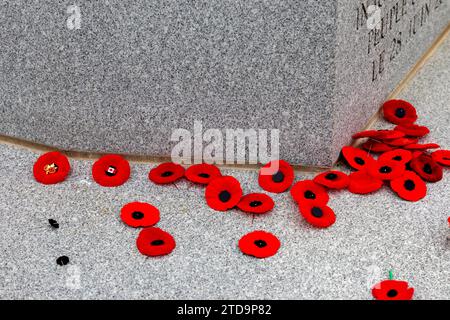 Beechwood Cemetery e National Military Cemetery Ottawa, Ontario, Canada. Papaveri collocati sul cenotafio dopo la cerimonia del giorno della memoria a Otta Foto Stock