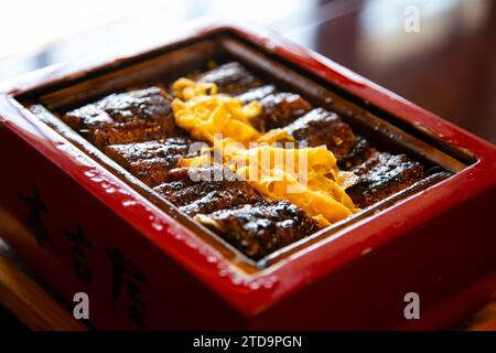 Unagi seiro mushi. La ciotola di riso all'anguilla al vapore è uno dei famosi piatti locali di Yanagawa. Foto Stock