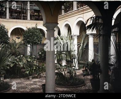 Cordoba, Spagna, Habitat, architettura, colonna, abitazione, patio, arco, sala giochi, arco, Park, Garden, Spagna, Cordoba, Patio di casa privata, Cordoue, 19/06/1914 - 22/06/1914, Léon, Auguste, fotografo, 1914 - Espagne, Spagna, Europa - Auguste Léon - (15 luglio-4 luglio), Autochrome, Photo, Glass, Autochrome, foto, positiva Foto Stock