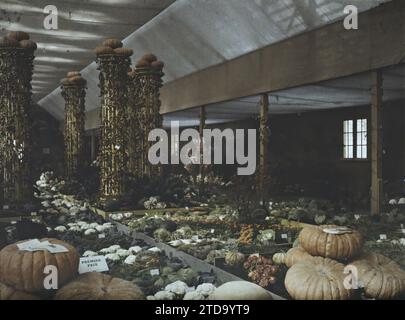 Parigi (8° arr.), Francia Mostra delle Arti Decorative, Padiglione Orticoltura, vita quotidiana, Arte, natura, ambiente, Habitat, architettura, cibo, colonna, arti decorative, verdure, fiori, trelli, mostre, mostra Arti decorative, vegetazione, Botanica, architettura effimera, Francia, Parigi, Mostra delle Arti Decorative, le Pavon de l'Horticulture, Vegetable Expo, Arrondissement VIII, 01/10/1925 - 01/10/1925, Léon, Auguste, fotografo, 1925 - Exposition internationale des Arts Décoratifs et Industriels modernes Paris, Autochrome, Photo, Glass, Autochrome, foto, positivo, orizzontale, Foto Stock