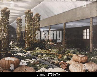 Parigi (8° arr.), Francia Mostra delle Arti Decorative, Padiglione Orticoltura, vita quotidiana, Arte, natura, ambiente, Habitat, architettura, cibo, colonna, arti decorative, verdure, fiori, trelli, mostre, mostra Arti decorative, vegetazione, Botanica, architettura effimera, Francia, Parigi, Mostra delle Arti Decorative, le Pavon de l'Horticulture, Vegetable Expo, Arrondissement VIII, 01/10/1925 - 01/10/1925, Léon, Auguste, fotografo, 1925 - Exposition internationale des Arts Décoratifs et Industriels modernes Paris, Autochrome, Photo, Glass, Autochrome, foto, positivo, orizzontale, Foto Stock