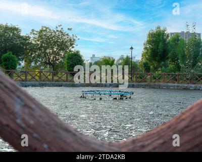 Bella foto del giardino con sterline . La vista sulla natura è fantastica. Laghetto di grandi dimensioni con piscine. Questa è bella bellezza della natura. Foto Stock